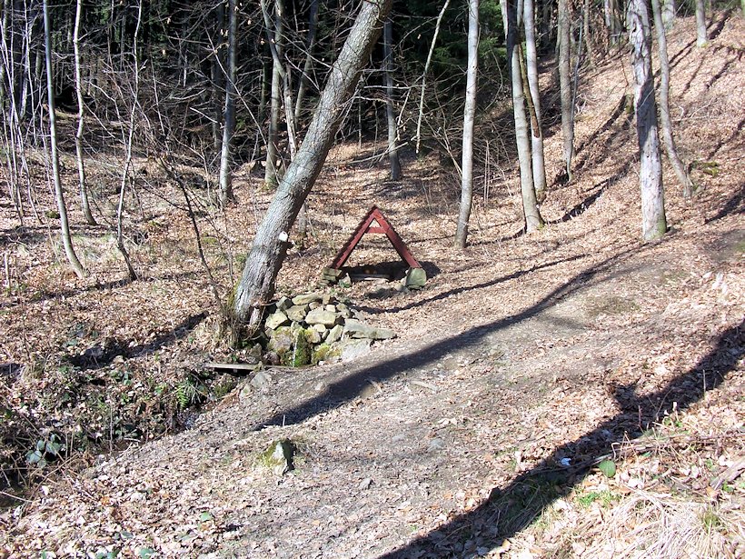 studánka U Scheinostovo zátiší (8022)
