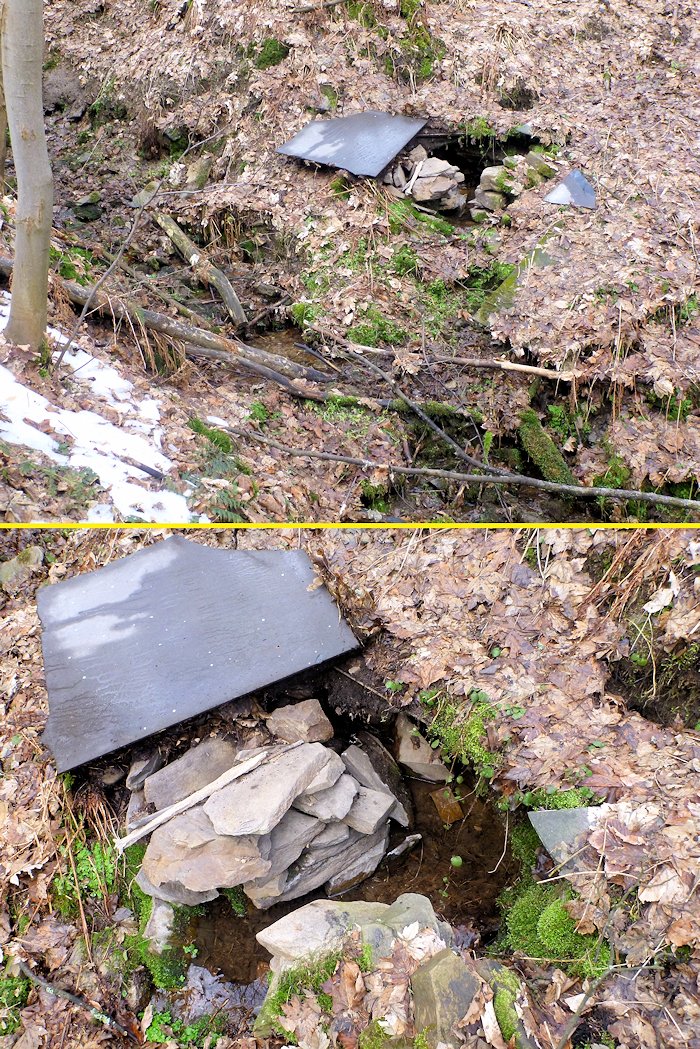 Suchdolská studánka (8027)