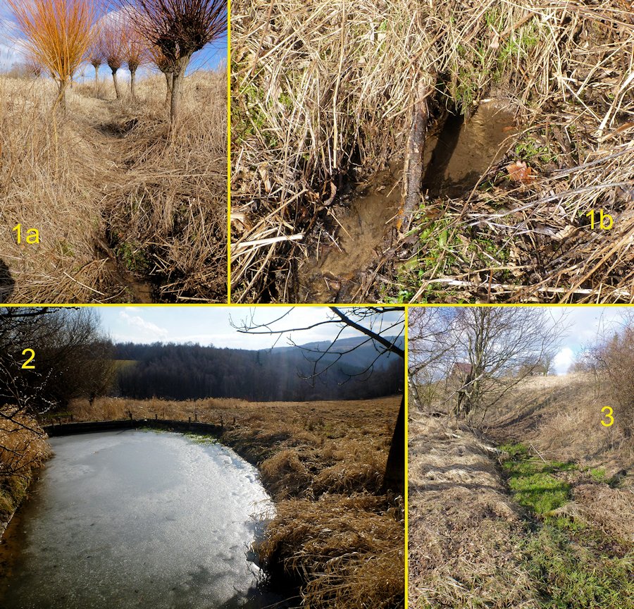 prameniště Ve vrbičkách (8033)