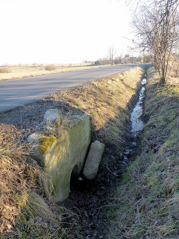 prameniště V příkopu (8036)