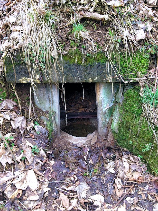 studánka Zlatomlýn (8050)