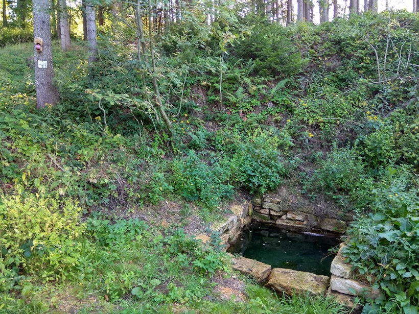 studánka Pramen Třebovky (8059)