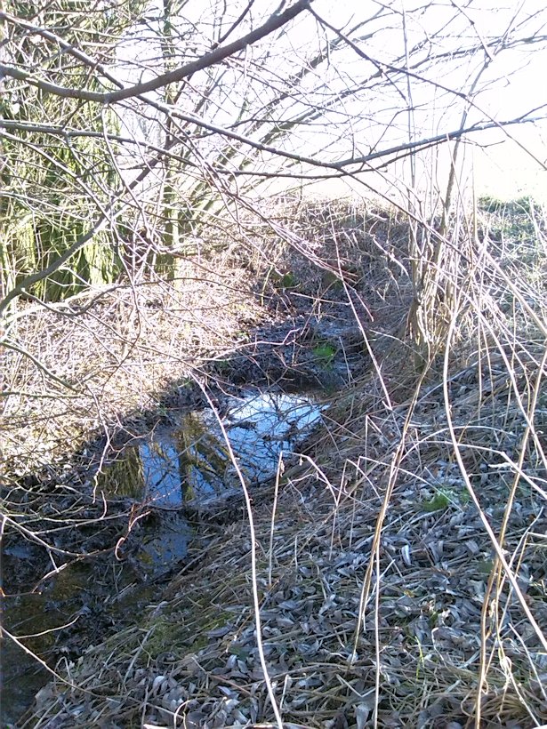 pramen Nad Květnou (8060)