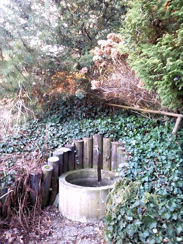 studánka Mezi rybníky (8062)