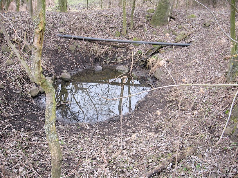 jiný vodní zdroj bez jména (8064)