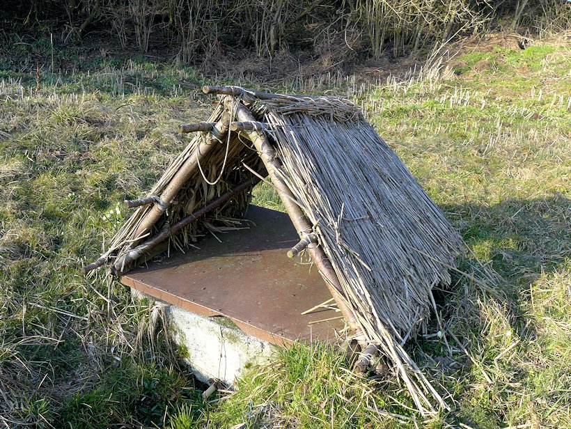 studánka bez jména (8068)