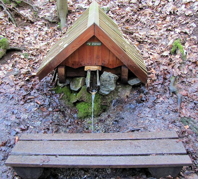 studánka V oboře (8078)