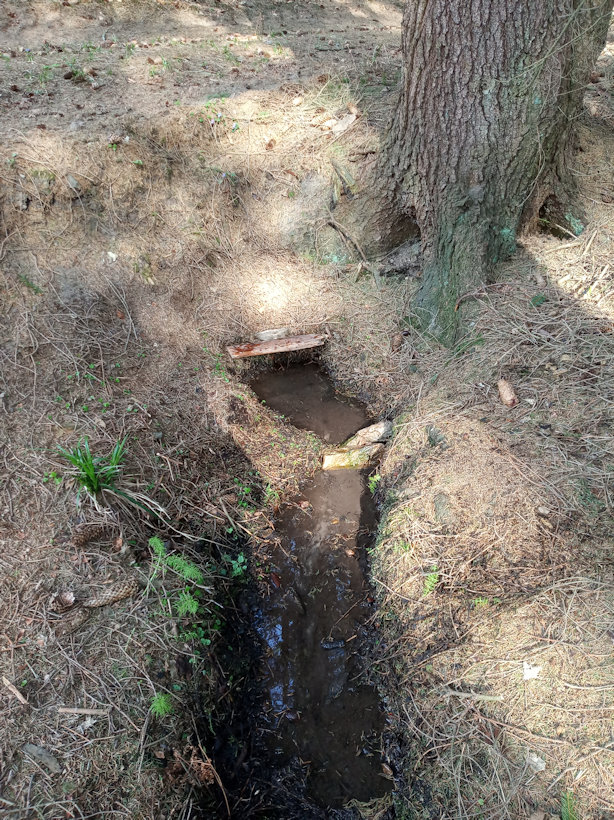 studánka Hersica (8080)