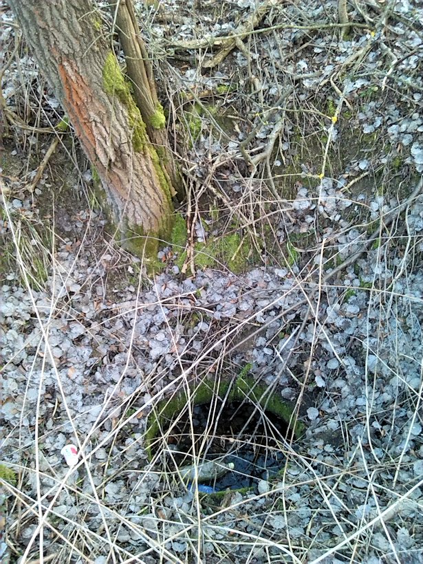 studánka U podkovy (8085)