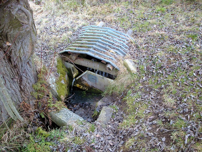studánka U Loužku (8087)