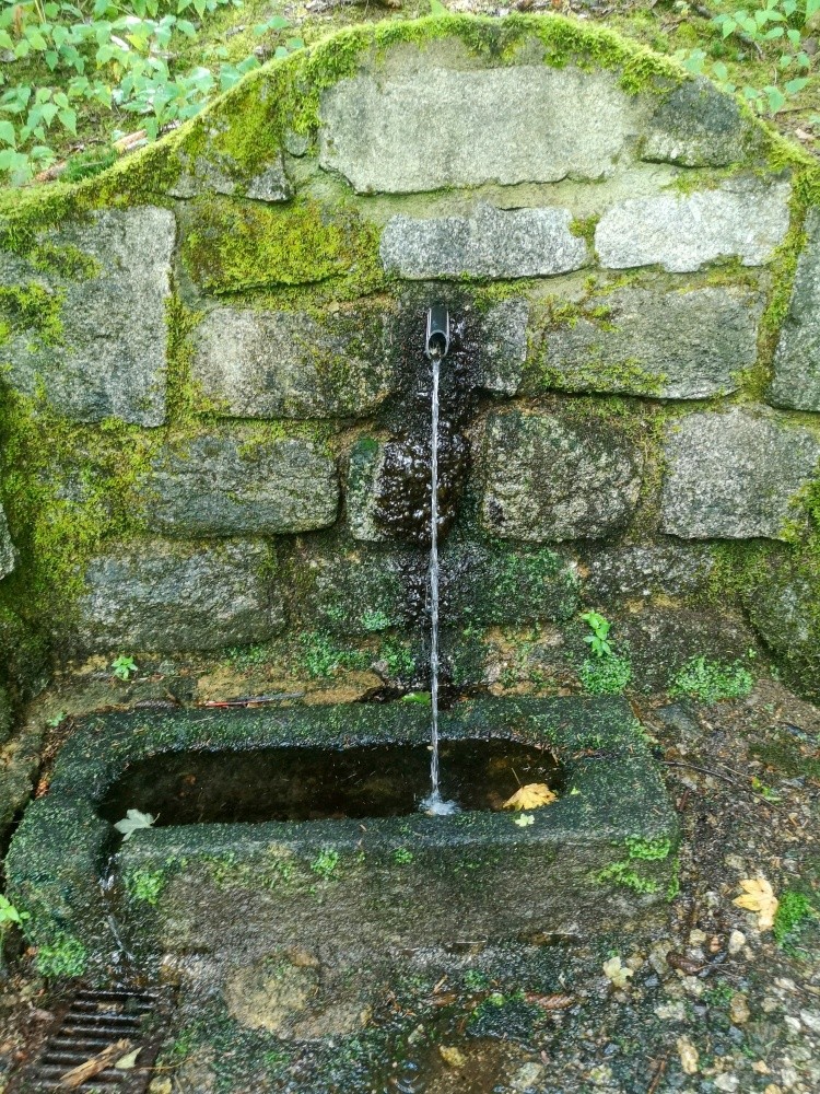 pramen Žebrácká studánka (8091)