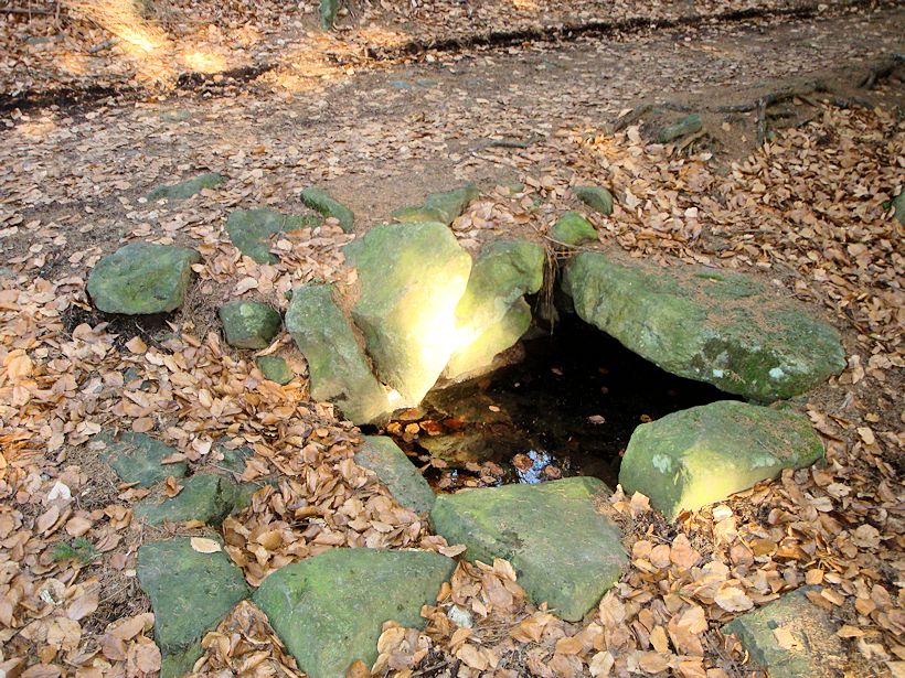 studánka Pod Hradiskem (8096)