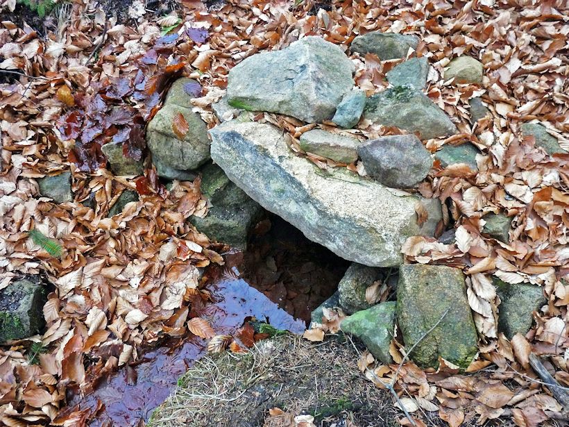 studánka U potoka (8100)