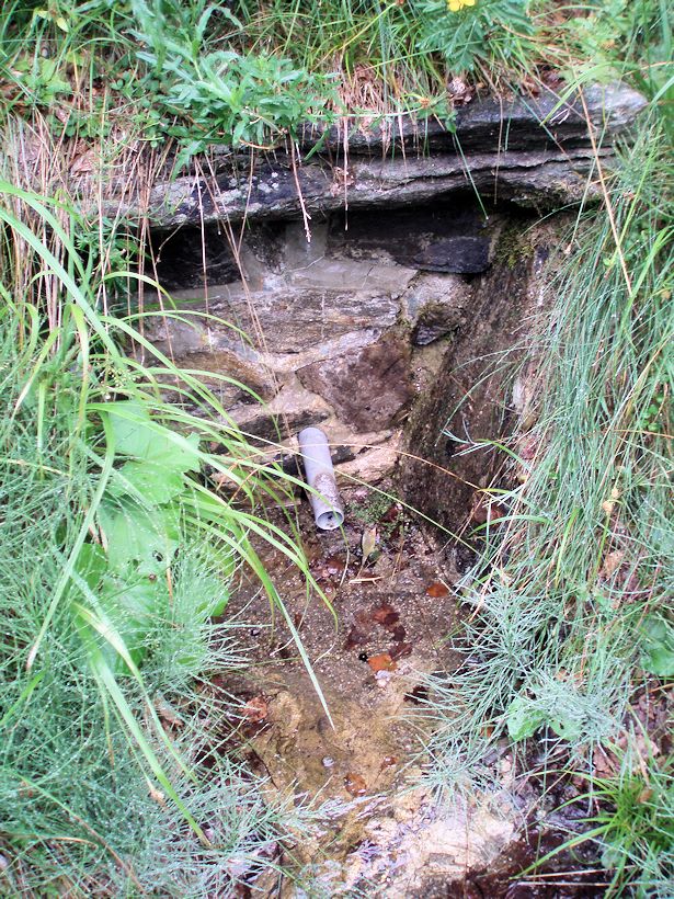 studánka Pod Videlským sedlem (8117)