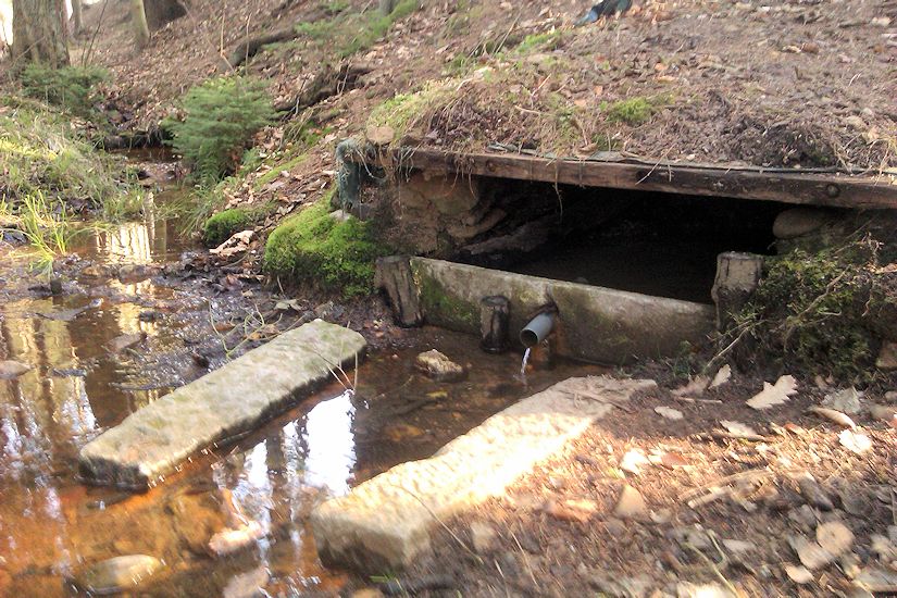 studánka U Obořické hájovny (8118)