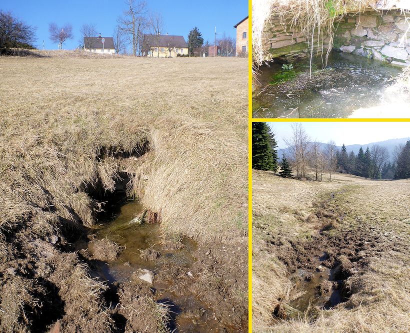 studánka Ve stráni (8150)