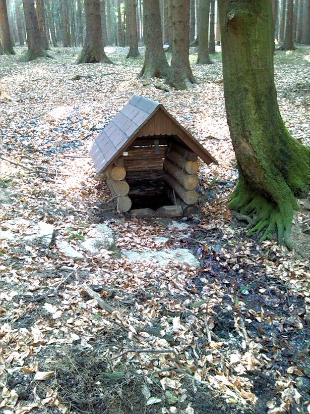 studánka V Sedlišťském lese (8162)
