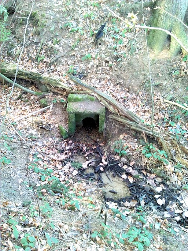 jiný vodní zdroj Nad Skelnou hutí (8172)