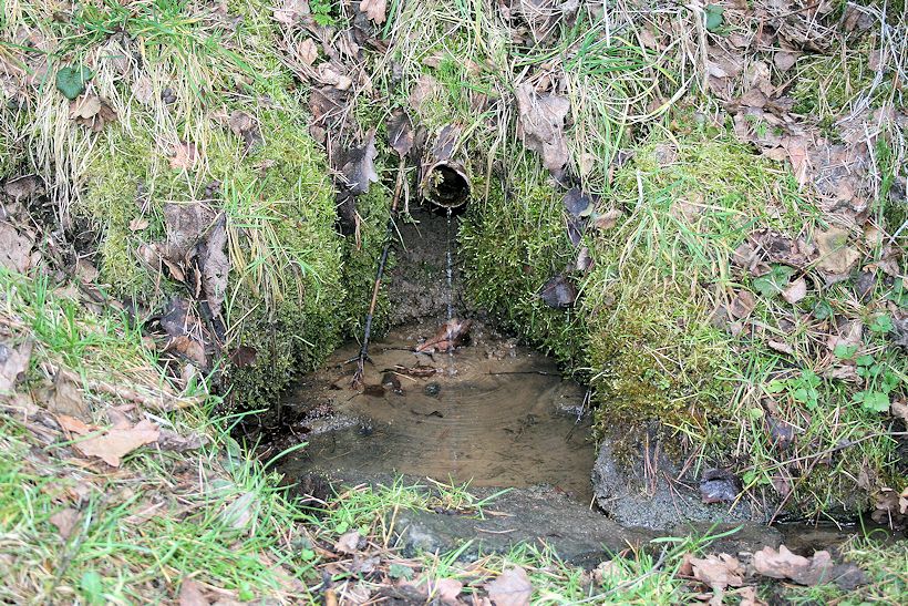 studánka Nad Rovištěm (8182)