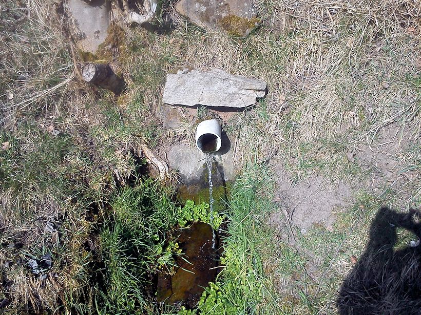 studánka U Nové Kyselky (8185)