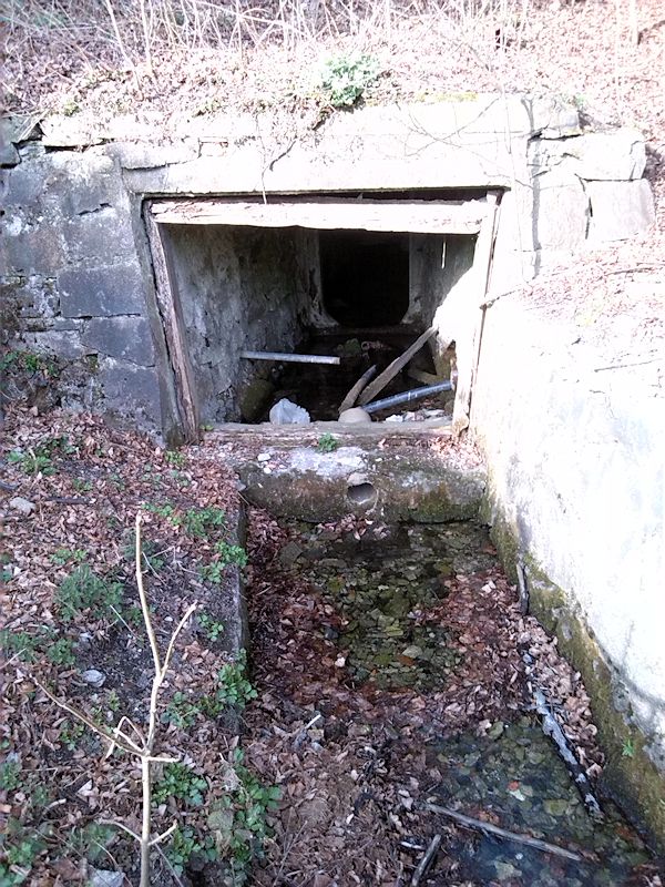 Svojanovský pramen (8208)