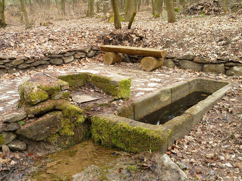 studánka bez jména (8210)