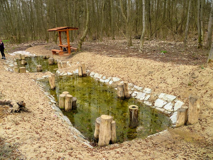 studánka bez jména (8211)
