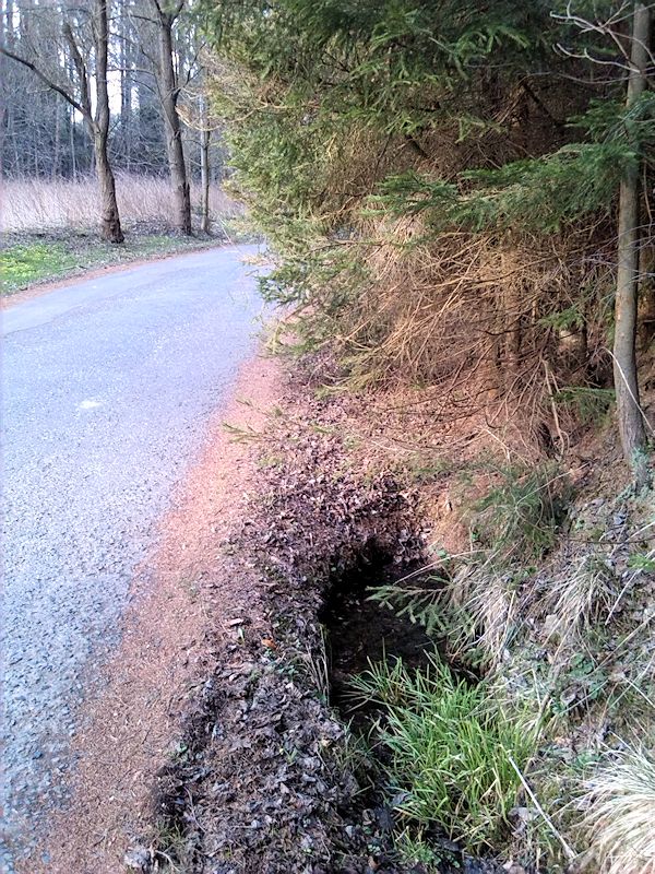 studánka U cesty (8218)