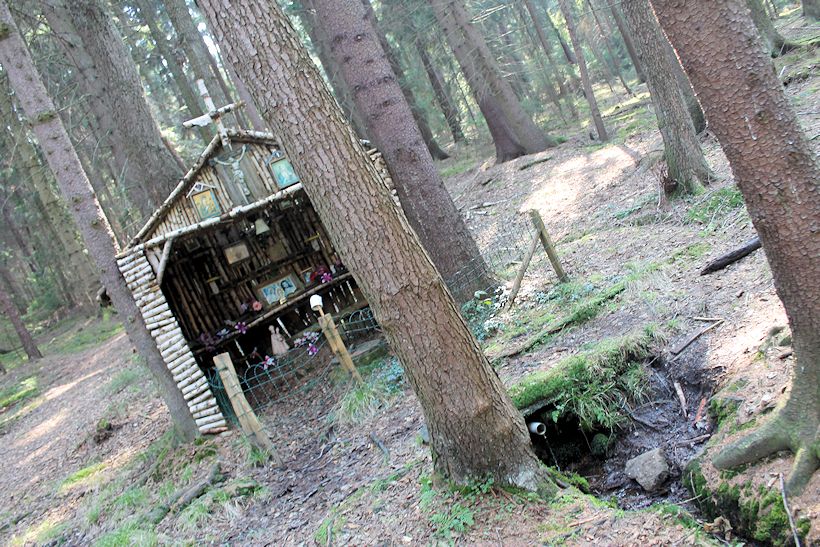 pramen U Studánky  (8227)