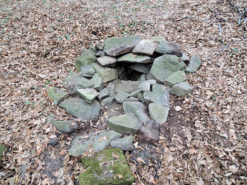 studánka bez jména (8245)