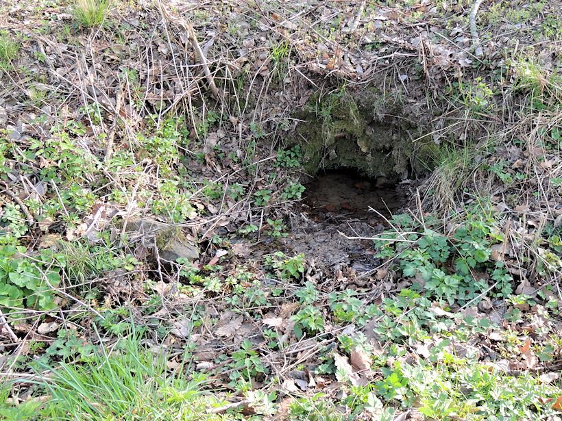 studánka U střelnice (8247)