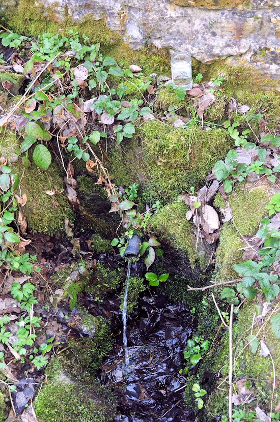 studánka bez jména (8248)