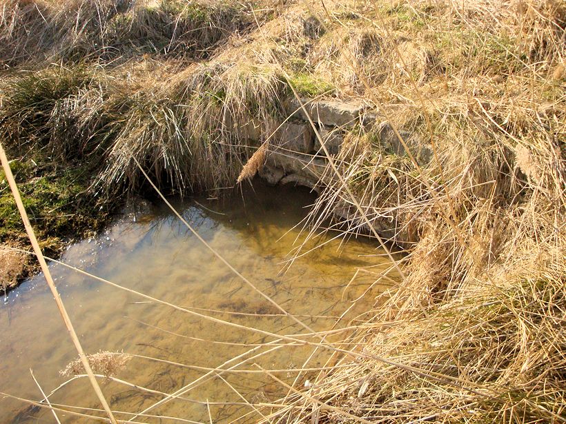 jiný vodní zdroj U Skaláku (8249)