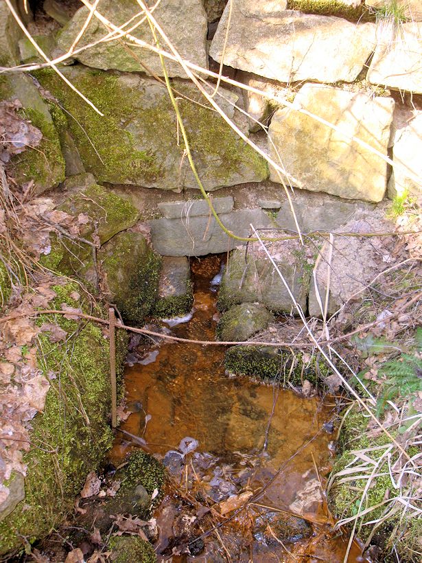 studánka U Pahorku (8250)