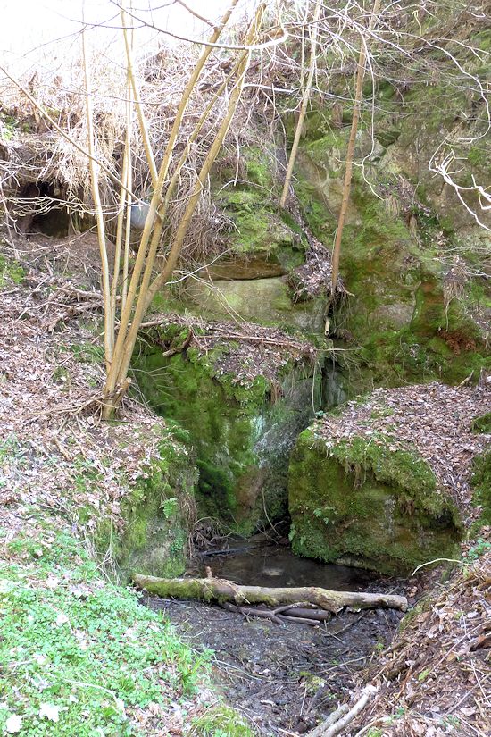 studánka bez jména (8254)