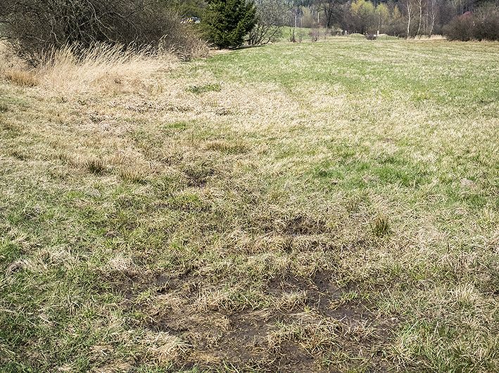 prameniště Konopišťský potok (8257)