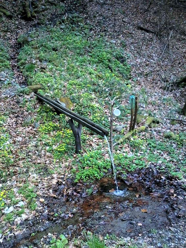 pramen U Juřice (8259)