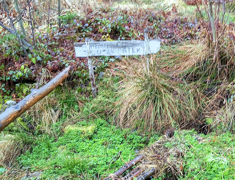 studánka U zvířátek (8263)