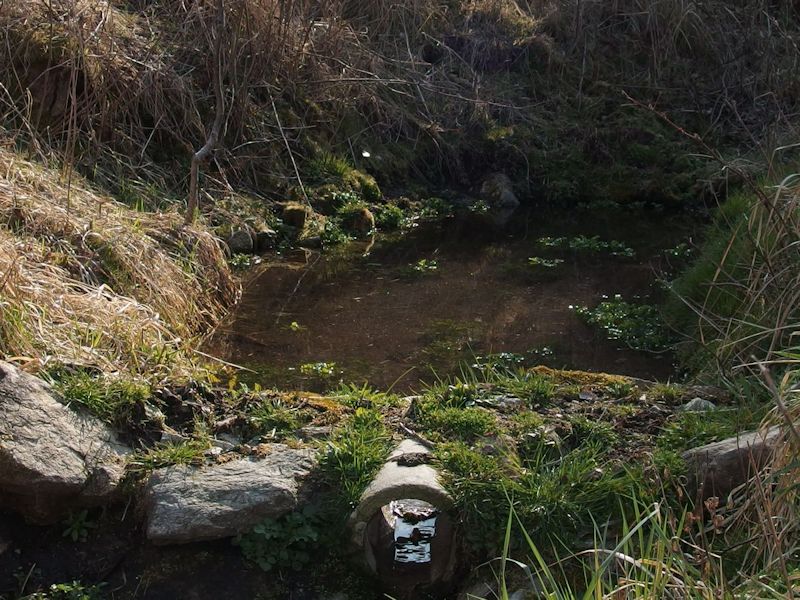 studánka bez jména (8267)