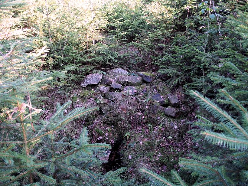 studánka bez jména (8269)