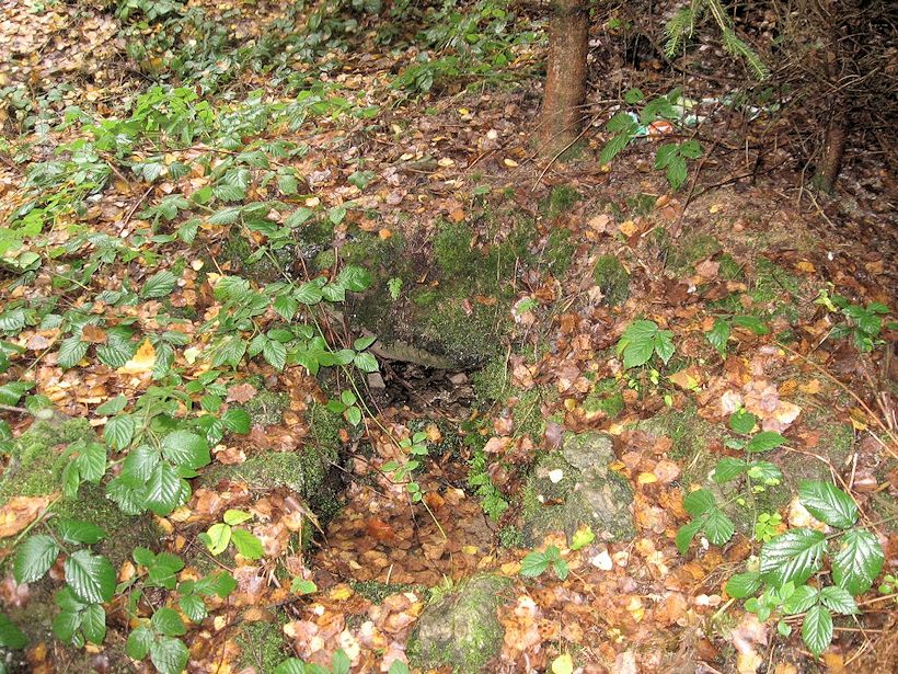 studánka bez jména (8270)