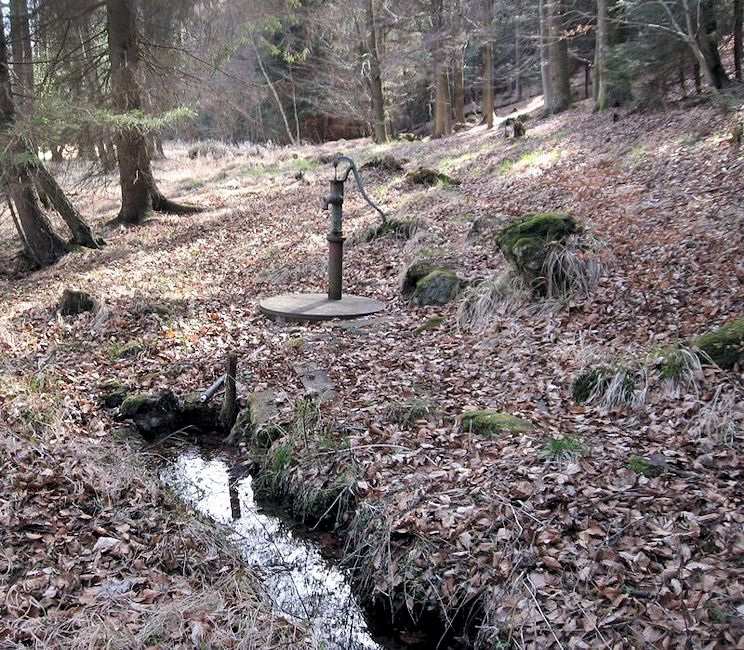 studánka bez jména (8271)