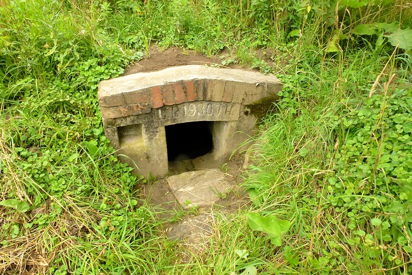 studánka U Prakšického mlýna (8282)