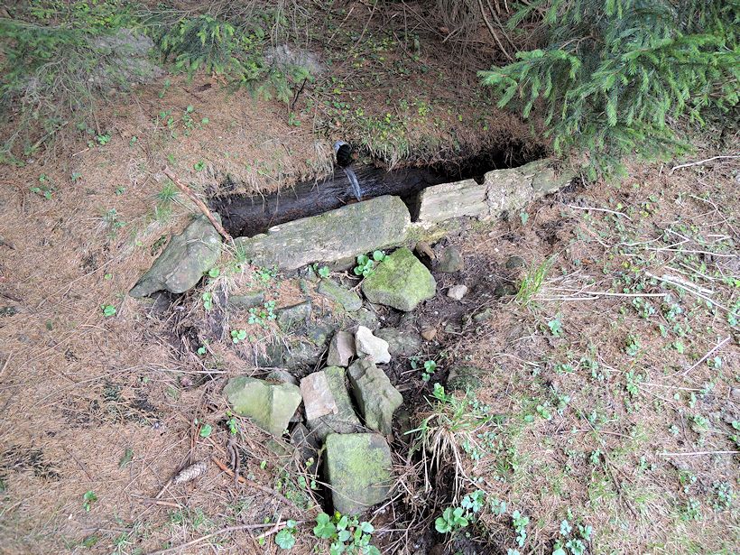 studánka U Švéda (8286)