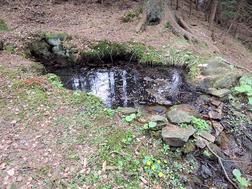 studánka U studánek (8287)