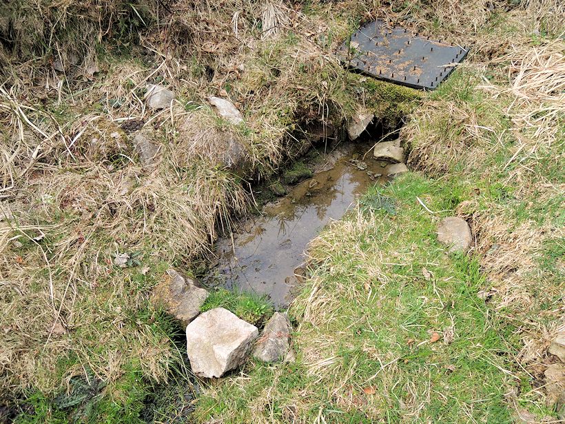 studánka Nad Švédem (8288)