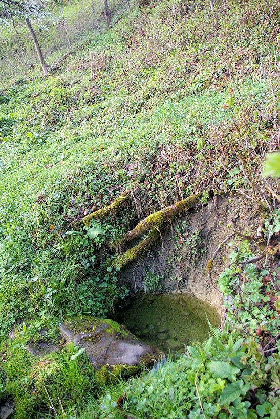 studánka Pod lipou (8297)