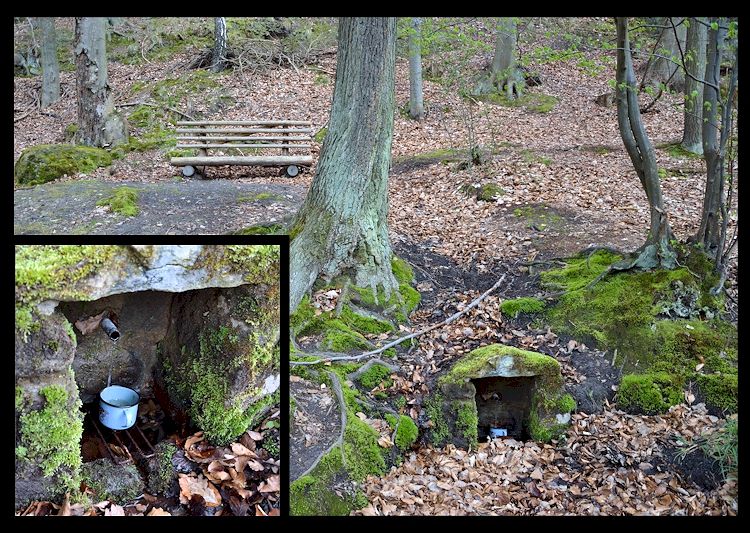 studánka Pod Hvězdou (8302)