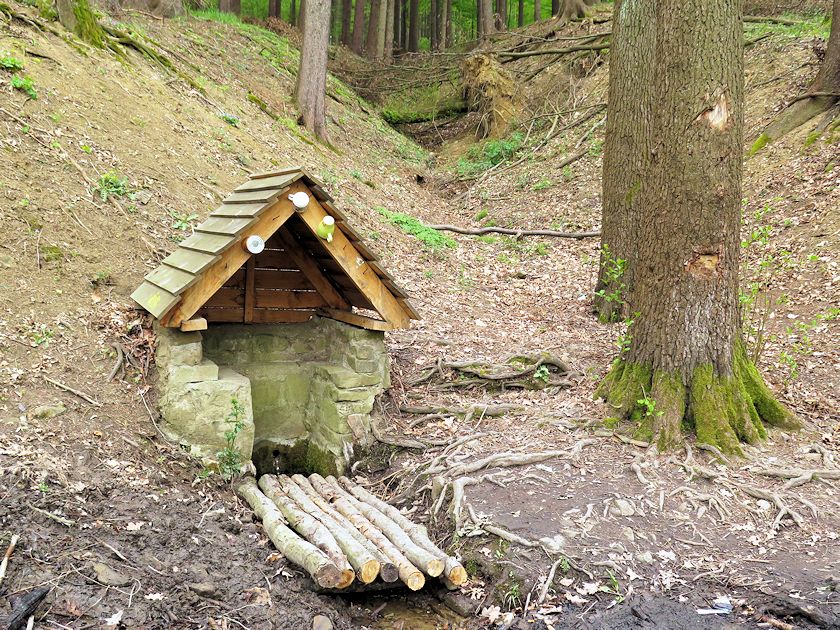 studánka bez jména (8303)