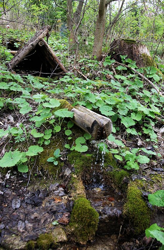Fuskova studánka (8321)